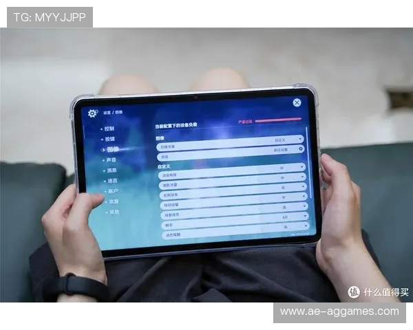 国产屏iPad Pro游戏体验评测 高效性能与画质表现分析
